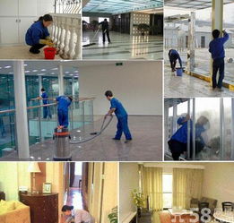 專業家庭室內清掃保潔與鐘點工服務解析