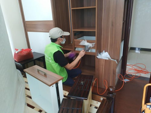 守護清新空氣，構筑健康空間——綠凈源廈門辦公室除甲醛公司專業服務解析